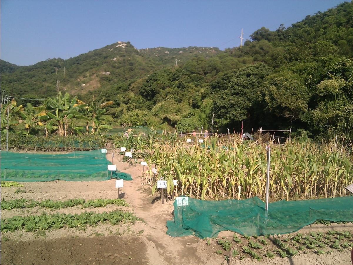 20101205 The Organic Farm08